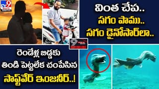 జూ నుంచి తప్పించుకోబోయిన హిప్పో !! అడ్డుకున్న సెక్యూరిటీగార్డ్‌పై..