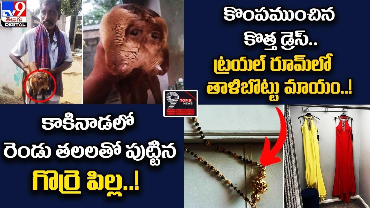 Digital TOP 9 NEWS: రెండు తలలతో పుట్టిన గొర్రె పిల్ల..! | కొంపముంచిన కొత్త డ్రెస్..