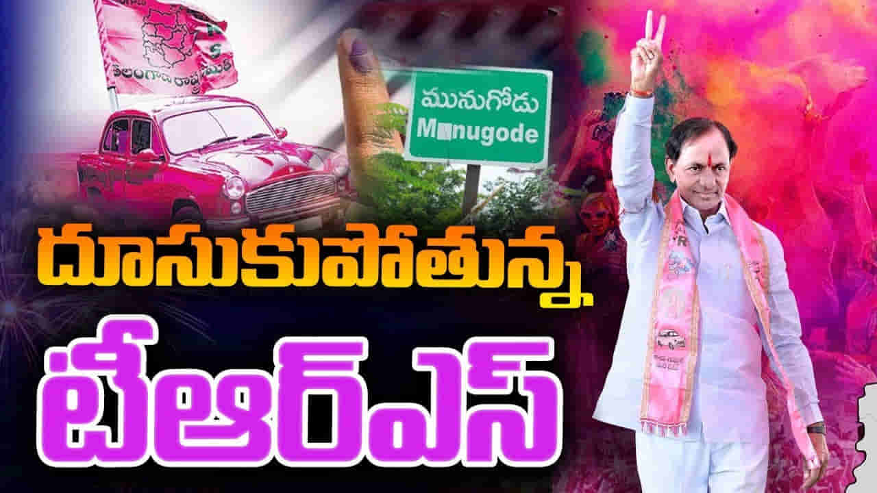 Munugode Bypoll: మునుగోడులో జెట్‌ స్పీడ్‌తో దూసుకెళుతోన్న కారు.. తెలంగాణ భవన్‌లో అంబరాన్నింటిన సంబరాలు..