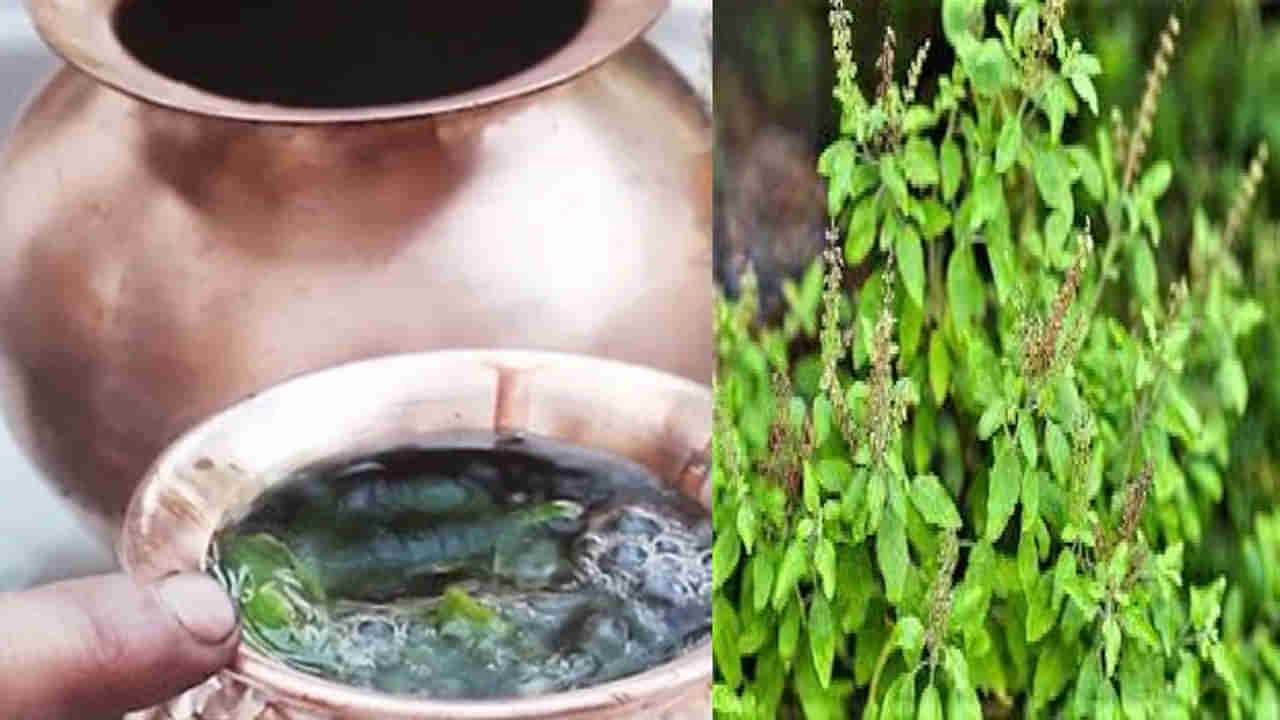 Tulsi: పూజలో గంగాజలాన్ని, తులసి ఆకులను ఎందుకు ఉపయోగిస్తారు..? కారణాలు ఏమిటని ఆలోచించారా..?