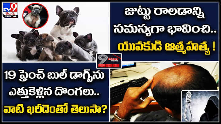 Digital TOP 9 NEWS: జుట్టు రాలడాన్ని సమస్యగా భావించి..| ఫ్రెంచ్ బుల్ డాగ్స్ను ఎత్తుకెళ్లిన దొంగలు.. Digital TOP 9 NEWS: జుట్టు రాలడాన్ని సమస్యగా భావించి..| ఫ్రెంచ్ బుల్ డాగ్స్ను ఎత్తుకెళ్లిన దొంగలు..