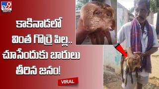 వివాహ వేడుకకు సర్వం సిద్ధం, అంతలోనే కారులో నుంచి శవపేటిక !!