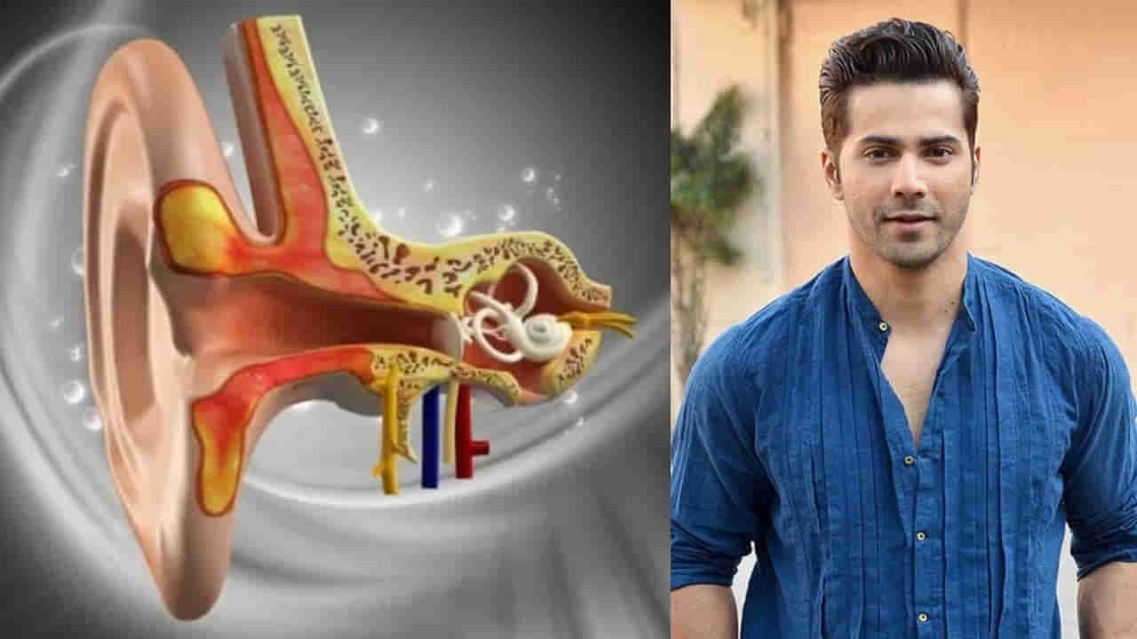 Vestibular Hypofunction: వెస్టిబ్యులర్ హైపోఫంక్షన్‌తో బాధపడుతున్న బాలీవుడ్‌ స్టార్‌ హీరో.. దీని లక్షణాలేంటంటే?