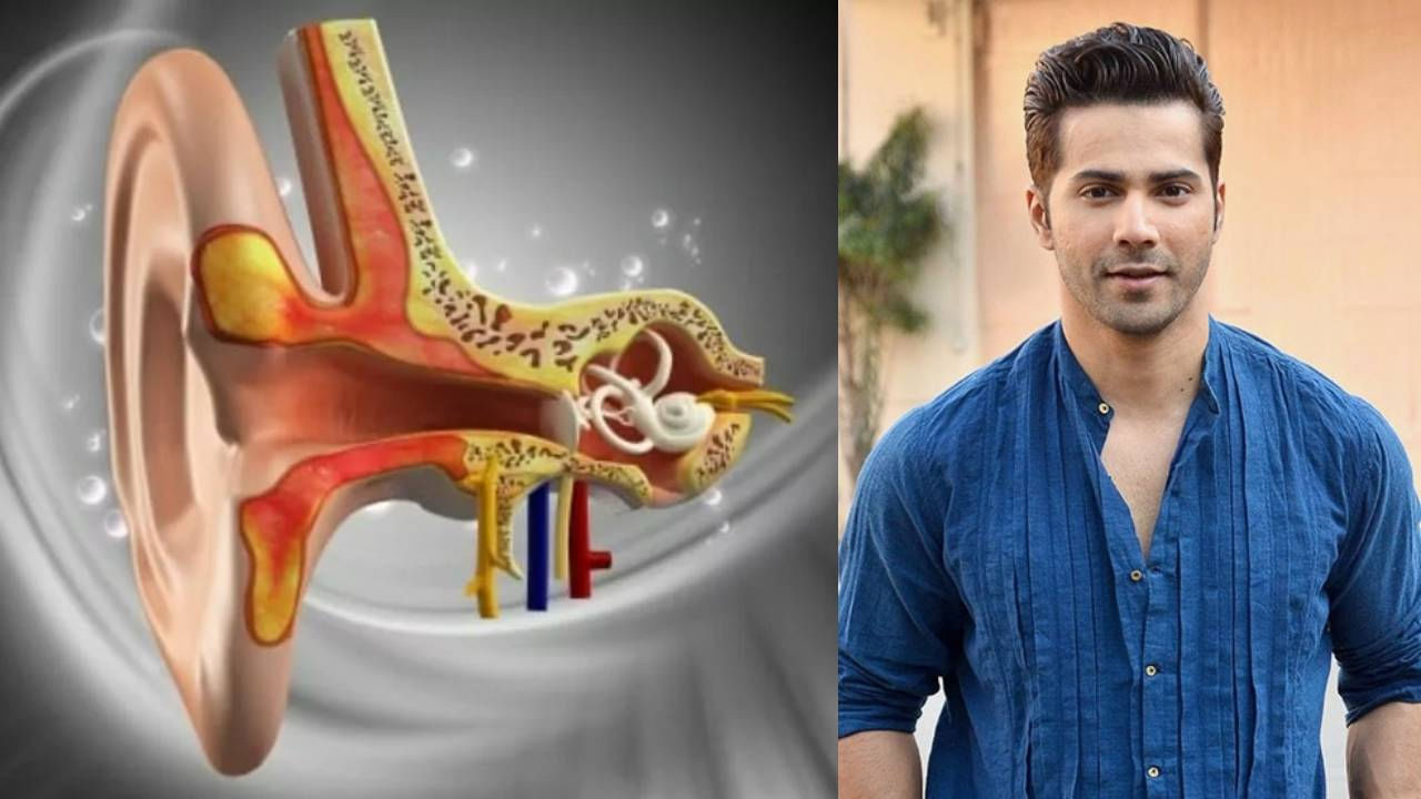 Vestibular Hypofunction: వెస్టిబ్యులర్ హైపోఫంక్షన్‌తో బాధపడుతున్న బాలీవుడ్‌ స్టార్‌ హీరో.. దీని లక్షణాలేంటంటే?