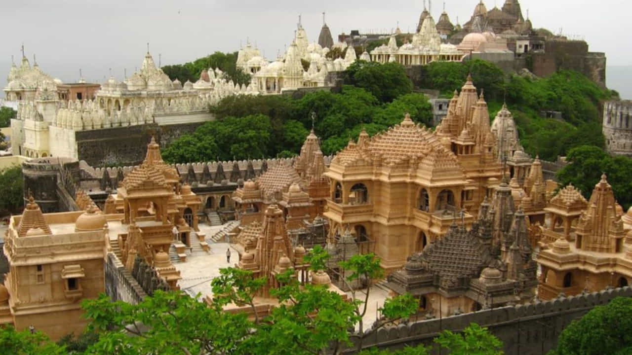 జైన మతస్థులకు పాలిటానా నగరం చాలా ముఖ్యమైనది. 900 కంటే ఎక్కువ దేవాలయాలున్న ఏకైక పర్వతం. ఈ పర్వతం పేరు శత్రుంజయ. ఈ శత్రుంజయ పర్వతాలు జైనుల పంచక్షేత్రాలలో ఒకటి. ఇక్కడికి చేరుకోవాలంటే భక్తులు దాదాపు 3950 మెట్లు ఎక్కాలి.