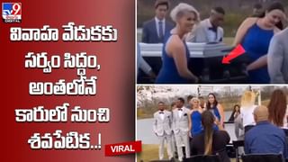 Solar Snake: భగభగ మండే సూర్యుడిపై జరజర పాకుతున్న పాము