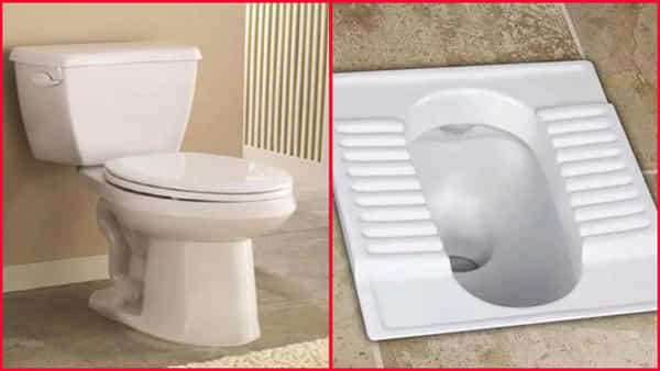 World Toilet Day 2022: ఇండియన్ టాయిలెట్ Vs వెస్ట్రన్ టాయిలెట్.. ఆరోగ్యానికి ఏది మంచిది?.. తాజా పరిశోధనల్లో సరికొత్త విషయాలు..