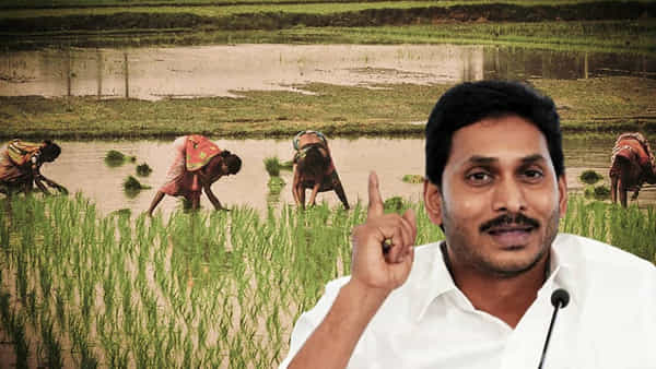 YS Jagan: రైతులకు సీఎం జగన్ గుడ్ న్యూస్.. ఆ రోజే ఖాతాల్లోకి ఇన్పుట్ సబ్సిడీ డబ్బు జమ..