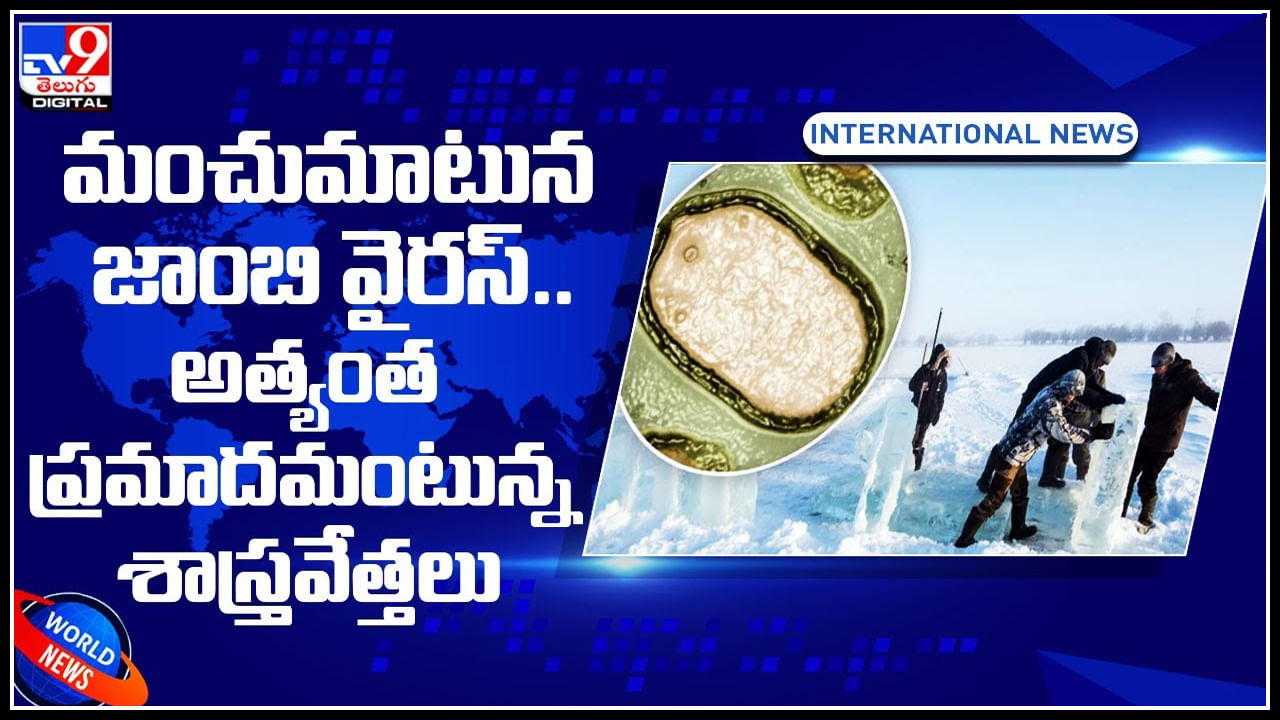 Zombie-Virus: మంచుమాటున జాంబి వైరస్‌.. కరోనా మించిన ప్రమాదమంటున్న శాస్త్రవేత్తలు..