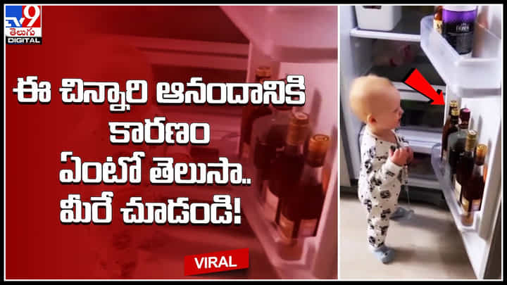 Boy Trending Video: ఈ చిన్నారి ఆనందానికి కారణం ఏంటో తెలుసా.. మీరే చూడండి..! Boy Trending Video: ఈ చిన్నారి ఆనందానికి కారణం ఏంటో తెలుసా.. మీరే చూడండి..!