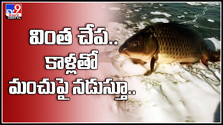 Shocking Video: రైలులో విండో సీట్‌ వద్ద కూర్చున్న వ్యక్తి.. మెడలోకి ఇనుప రాడ్‌ దిగడంతో.. షాకింగ్ వీడియో