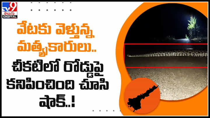 Python: వామ్మో.. ఇది నిజమేనా.. వేటకు వెళ్తున్న మత్య్సకారులకు చీకటిలో రోడ్డుపై కనిపించింది చూసి షాక్..! Python: వామ్మో.. ఇది నిజమేనా.. వేటకు వెళ్తున్న మత్య్సకారులకు చీకటిలో రోడ్డుపై కనిపించింది చూసి షాక్..!