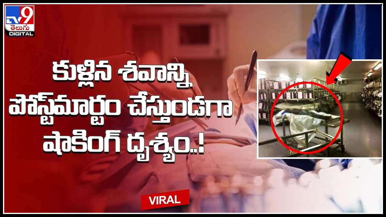 Dead body: కుళ్లిన శవాన్ని పోస్ట్‌మార్టం చేస్తుండగా షాకింగ్ దృశ్యం..! చూసి పరిగెత్తిన డాక్టర్..