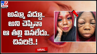 Viral Video: తల్లి కోడి పొత్తికడుపు కింద ఆశ్రయం పొందిన కుక్క పిల్లలు.. నెట్టింట వైరల్ అవుతున్న వీడియో..