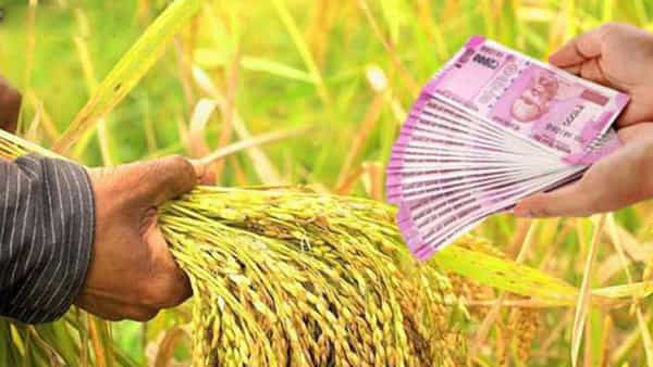 Agriculture Loan: లోన్ కోసం బ్యాంక్ చుట్టూ తిరుగుతున్నారా.. అవసరం లేదు కేవలం ఒక్క మిస్ట్ కాల్ ఇస్తే చాలు..