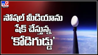 Amazing Waterfalls : ఇలాంటి జలపాతాన్ని ఎప్పుడూ చూసి ఉండరు..! బ్యూటీ ఆఫ్ నేచర్.. వీడియో చూస్తే వావ్ అనాల్సిందే..