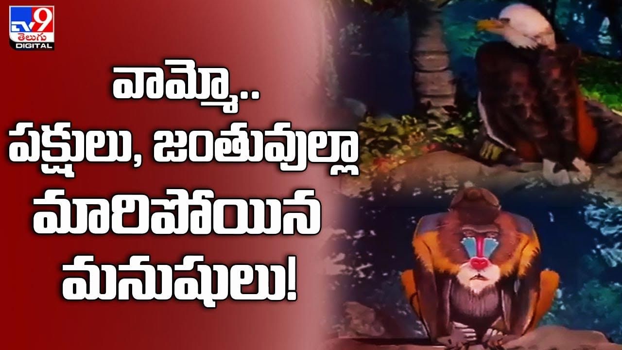 వామ్మో.. పక్షులు, జంతువుల్లా మారిపోయిన మనుషులు !! నెట్టింట వైరల్‌ అవుతున్న సూపర్‌ వీడియో