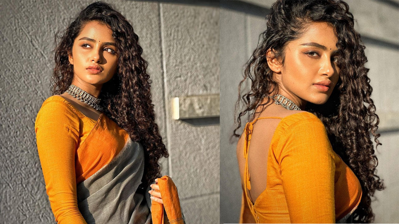 Anupama parameswaran: ఒక్కసారైనా ఆ పని చేయాలనేదే నా కోరిక.. క్యూట్‌ హీరోయిన్‌ ఇంట్రెస్టింగ్ కామెంట్స్‌.