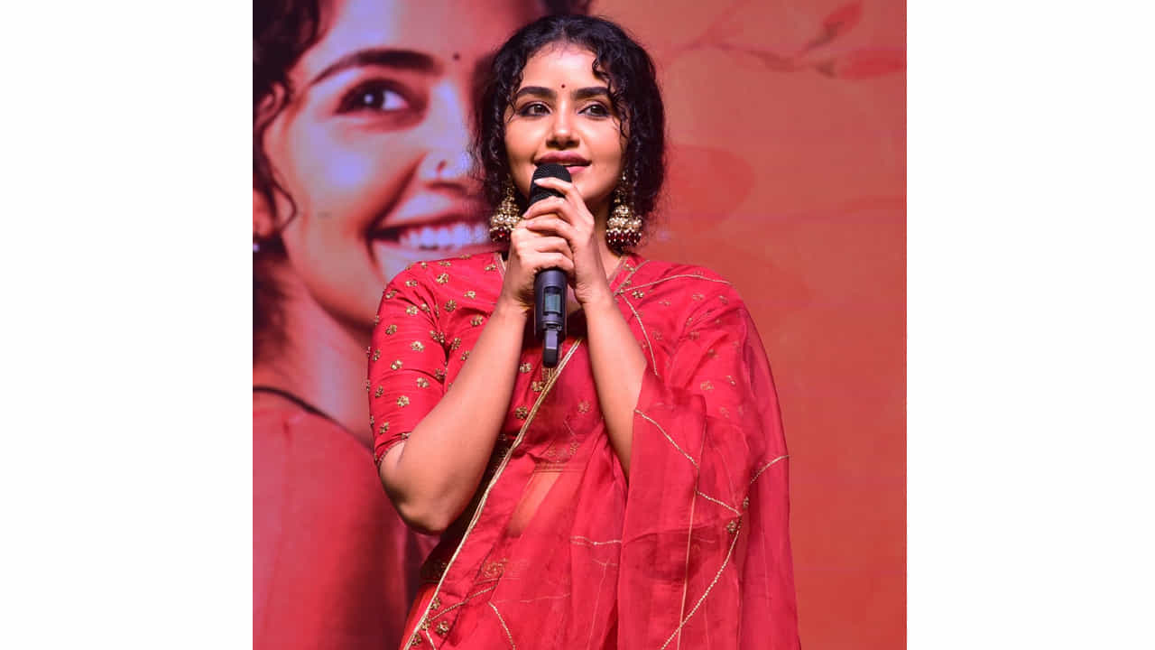 అనుపమ పరమేశ్వరన్ ఈ పేరుకు తెలుగు ఇండస్ట్రీలో ప్రత్యేకంగా పరిచయాలు అవసరం లేదు. వరస విజయాలతో తెలుగుకు వచ్చిన ఈ మలయాళీ ముద్దుగుమ్మ స్టార్ హీరోయిన్ అయిపోతుందని అనుకున్నారంతా.