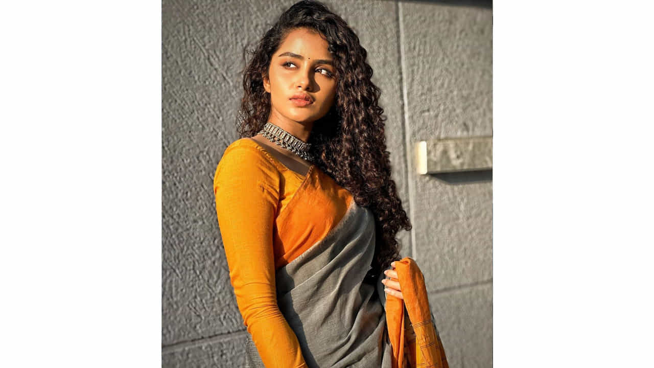 అనుపమ పరమేశ్వరన్ ఈ పేరుకు తెలుగు ఇండస్ట్రీలో ప్రత్యేకంగా పరిచయాలు అవసరం లేదు. వరస విజయాలతో తెలుగుకు వచ్చిన ఈ మలయాళీ ముద్దుగుమ్మ స్టార్ హీరోయిన్ అయిపోతుందని అనుకున్నారంతా.