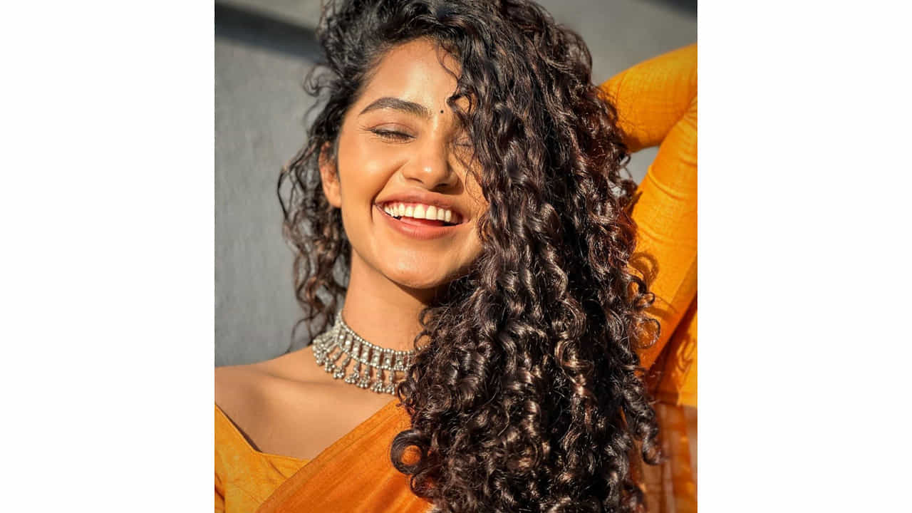 అనుపమ పరమేశ్వరన్ ఈ పేరుకు తెలుగు ఇండస్ట్రీలో ప్రత్యేకంగా పరిచయాలు అవసరం లేదు. వరస విజయాలతో తెలుగుకు వచ్చిన ఈ మలయాళీ ముద్దుగుమ్మ స్టార్ హీరోయిన్ అయిపోతుందని అనుకున్నారంతా.