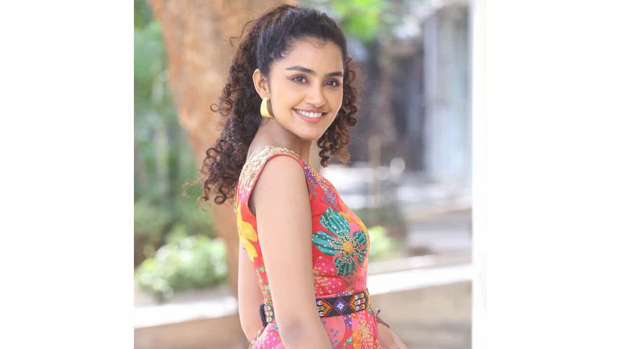 అనుపమ పరమేశ్వరన్ ఈ పేరుకు తెలుగు ఇండస్ట్రీలో ప్రత్యేకంగా పరిచయాలు అవసరం లేదు. వరస విజయాలతో తెలుగుకు వచ్చిన ఈ మలయాళీ ముద్దుగుమ్మ స్టార్ హీరోయిన్ అయిపోతుందని అనుకున్నారంతా. 