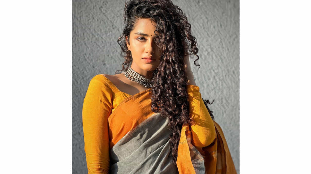 అనుపమ పరమేశ్వరన్ ఈ పేరుకు తెలుగు ఇండస్ట్రీలో ప్రత్యేకంగా పరిచయాలు అవసరం లేదు. వరస విజయాలతో తెలుగుకు వచ్చిన ఈ మలయాళీ ముద్దుగుమ్మ స్టార్ హీరోయిన్ అయిపోతుందని అనుకున్నారంతా.