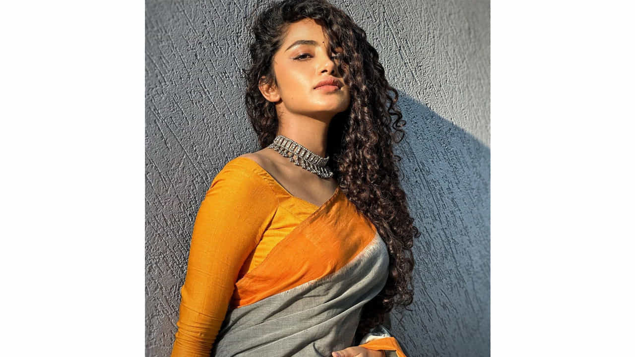 అనుపమ పరమేశ్వరన్ ఈ పేరుకు తెలుగు ఇండస్ట్రీలో ప్రత్యేకంగా పరిచయాలు అవసరం లేదు. వరస విజయాలతో తెలుగుకు వచ్చిన ఈ మలయాళీ ముద్దుగుమ్మ స్టార్ హీరోయిన్ అయిపోతుందని అనుకున్నారంతా.