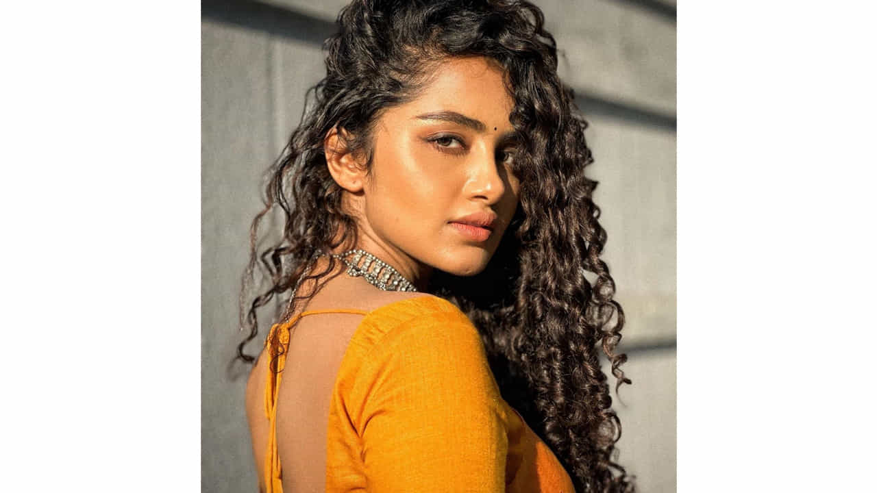 అనుపమ పరమేశ్వరన్ ఈ పేరుకు తెలుగు ఇండస్ట్రీలో ప్రత్యేకంగా పరిచయాలు అవసరం లేదు. వరస విజయాలతో తెలుగుకు వచ్చిన ఈ మలయాళీ ముద్దుగుమ్మ స్టార్ హీరోయిన్ అయిపోతుందని అనుకున్నారంతా.