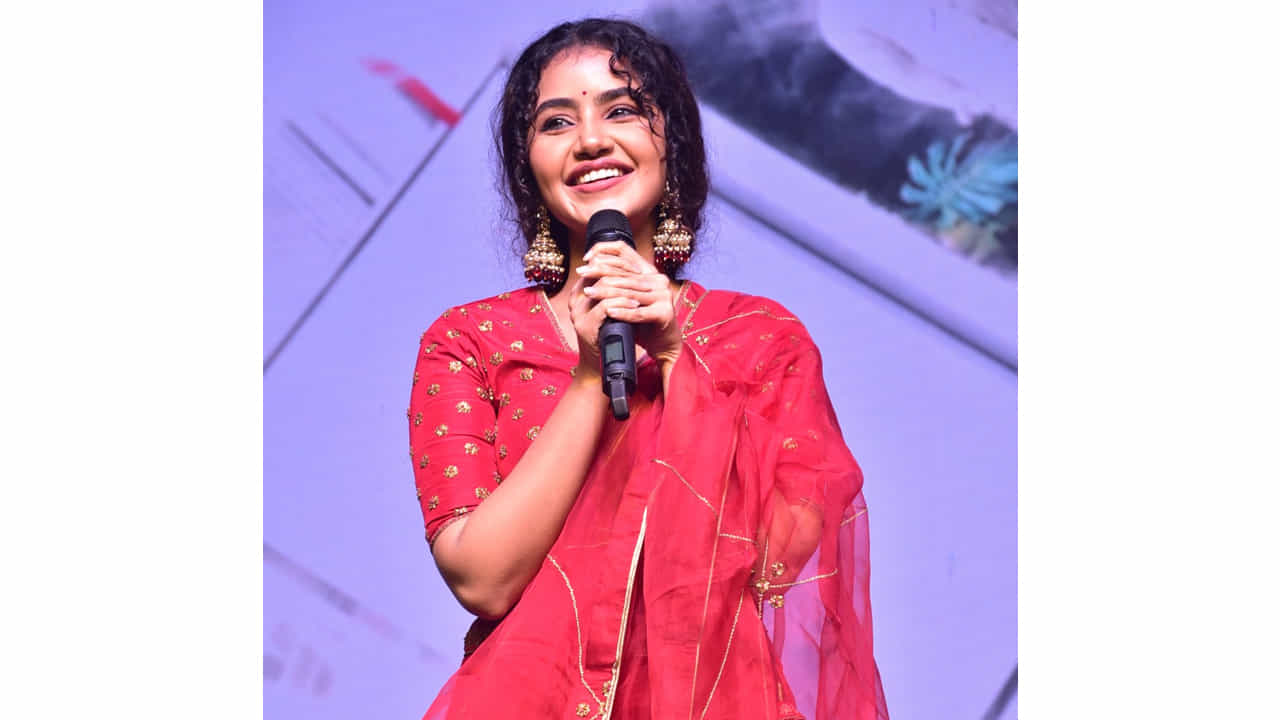అనుపమ పరమేశ్వరన్ ఈ పేరుకు తెలుగు ఇండస్ట్రీలో ప్రత్యేకంగా పరిచయాలు అవసరం లేదు. వరస విజయాలతో తెలుగుకు వచ్చిన ఈ మలయాళీ ముద్దుగుమ్మ స్టార్ హీరోయిన్ అయిపోతుందని అనుకున్నారంతా.