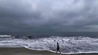 Sirkakulam: ఉద్దానంను వణికిస్తున్న వింత జీవి.. రాత్రి సమయాల్లో సంచరిస్తూ.. వాటినే టార్గెట్ చేస్తూ..