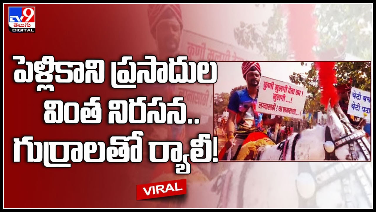 Bachelors protest: మహారాష్ట్రలో బ్రహ్మచారుల వింత నిరసన.. గుర్రాలతో ర్యాలీ..! పెళ్లి కావడం లేదని ఆవేదన..