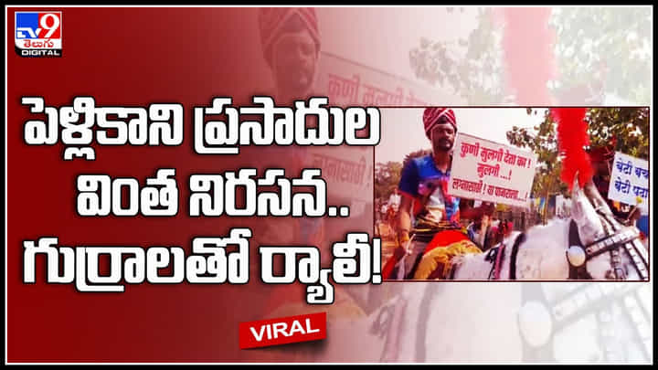 Bachelors protest: మహారాష్ట్రలో బ్రహ్మచారుల వింత నిరసన.. గుర్రాలతో ర్యాలీ..! పెళ్లి కావడం లేదని ఆవేదన.. Bachelors protest: మహారాష్ట్రలో బ్రహ్మచారుల వింత నిరసన.. గుర్రాలతో ర్యాలీ..! పెళ్లి కావడం లేదని ఆవేదన..