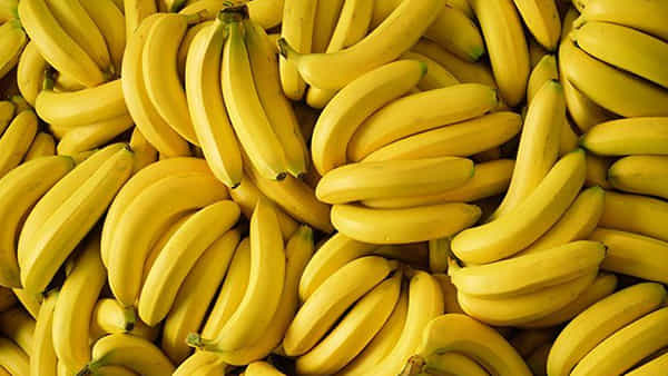 Banana: చలికాలంలో రాత్రిపూట అరటిపండు తినొచ్చా? తినకూడదా? దీనిని ఎవరు తినొద్దు?