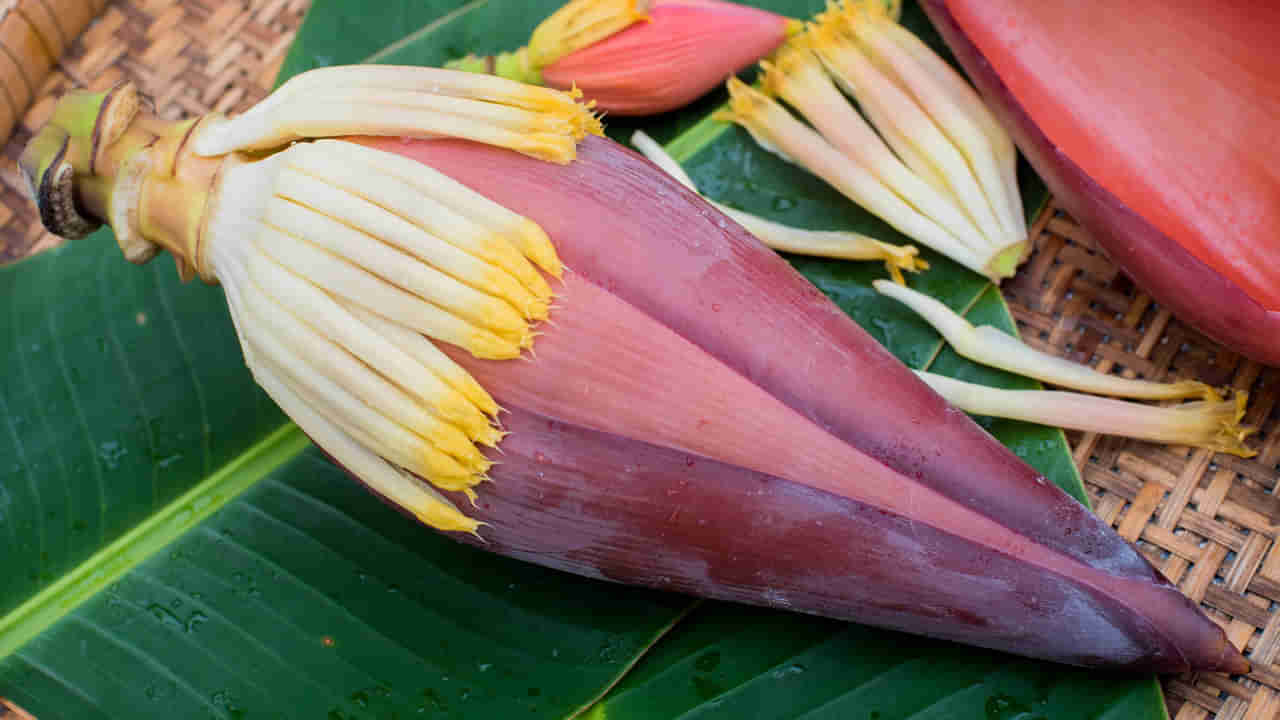 Banana Flower: అరటి పువ్వుతో ఆరోగ్య ప్రయోజనాలు తెలిస్తే అస్సలు విడిచిపెట్టరు.. ముఖ్యంగా అతివలకు..