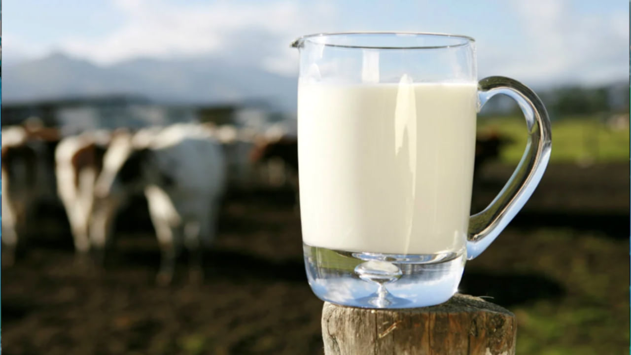 Raw Milk Benefits: పచ్చిపాలతో చర్మానికి ఇన్ని  ప్రయోజనాలా..? తెలిస్తే ఆశ్చర్యపోవాల్సిందే..