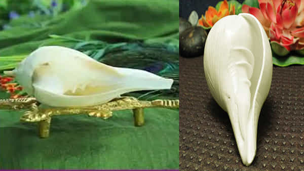 Shankh Benefits: ఇంట్లో ఏ రకమైన శంఖాన్ని పూజించడం, ఊదడం ద్వారా అదృష్టం కలిసి వస్తుందో తెలుసా
