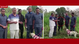 Telangana: ఆ నంబర్ నుంచి మెసేజ్‌లొస్తే జాగ్రత్త: మంత్రి నిరంజన్ రెడ్డి