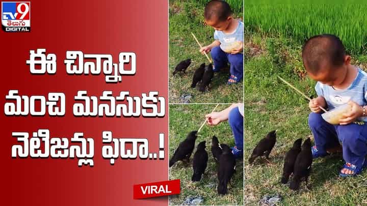 పొలం గట్టుపై కూర్చుని ఆహారం తింటున్న బాలుడు !! ఈ చిన్నారి మంచి మనసుకు నెటిజన్లు ఫిదా పొలం గట్టుపై కూర్చుని ఆహారం తింటున్న బాలుడు !! ఈ చిన్నారి మంచి మనసుకు నెటిజన్లు ఫిదా