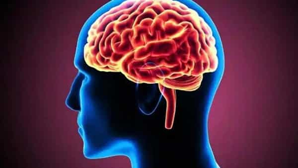 Alzheimers disease: మీ బ్రెయిన్ లో విటమిన్ డీ ఉందా? అయితే మీ ఆలోచనలు వయసును దాటి పరుగెడుతాయి! ఫ్యాక్ట్స్ కోసం చదవండి..