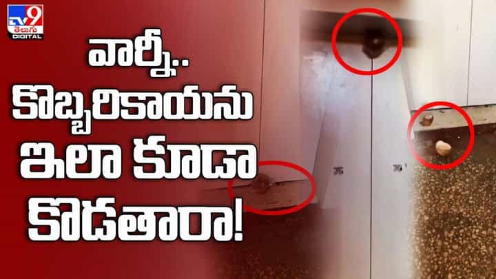 వార్నీ.. కొబ్బరికాయను ఇలా కూడా కొడతారా !! నెట్టింట వైరల్ అవుతున్న వీడియో వార్నీ.. కొబ్బరికాయను ఇలా కూడా కొడతారా !! నెట్టింట వైరల్ అవుతున్న వీడియో