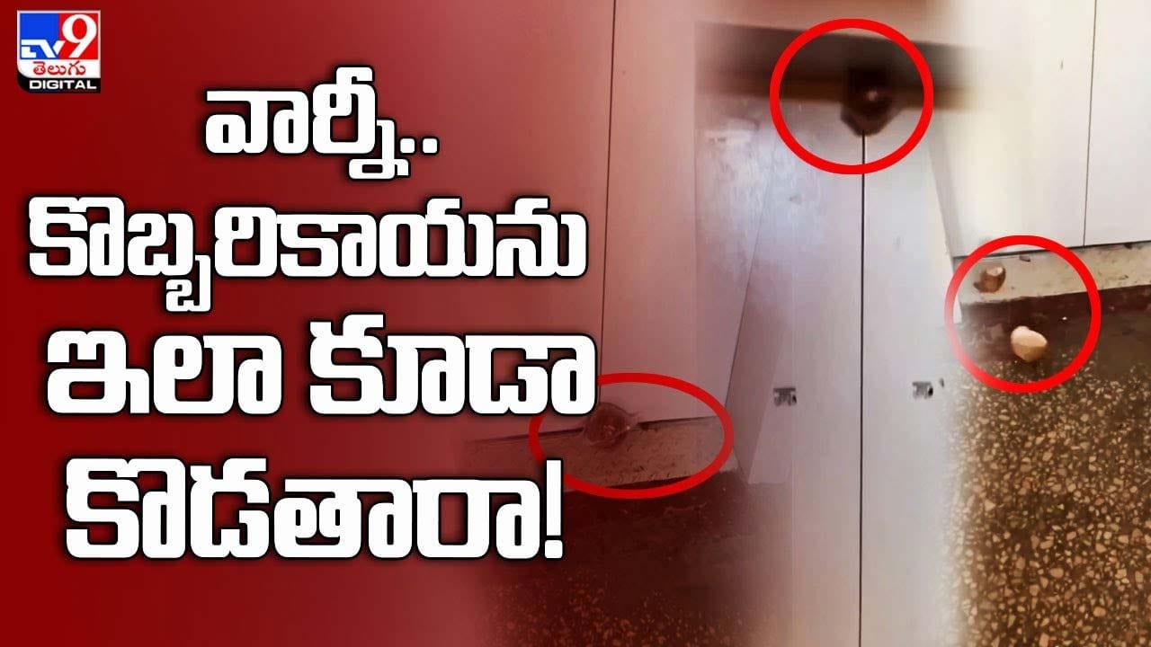 వార్నీ.. కొబ్బరికాయ‌ను ఇలా కూడా కొడతారా !! నెట్టింట వైరల్‌ అవుతున్న వీడియో