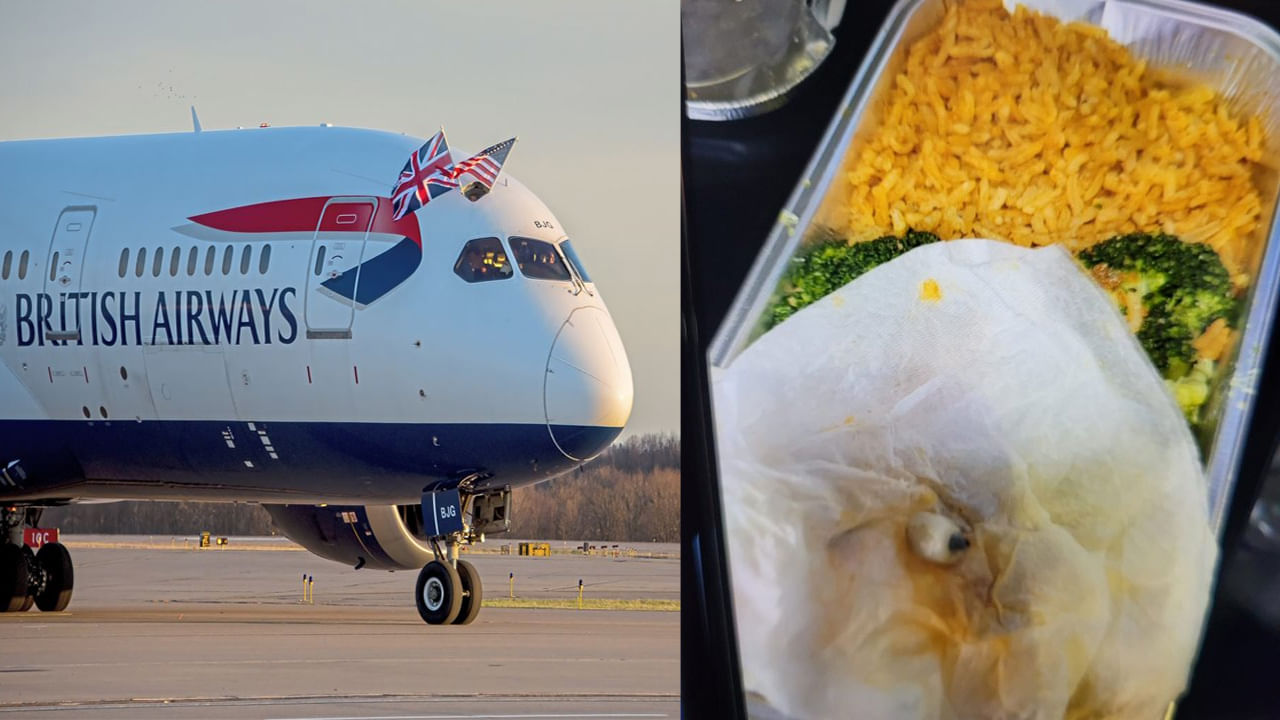 British Airways: విమానంలో ప్రయాణిస్తున్న మహిళకు షాక్.. తినే ఆహారంలో దంతం.. ఇవి నా పళ్లు కావంటూ ట్వీట్