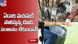 Viral Video: పెళ్లి పీటల మీద కూర్చుని క్రికెట్ ప్రతిభను ప్రదర్శించిన వరుడు.. నీ టెక్నీక్ సూపర్ భయ్యా అంటోన్న నెటిజన్లు