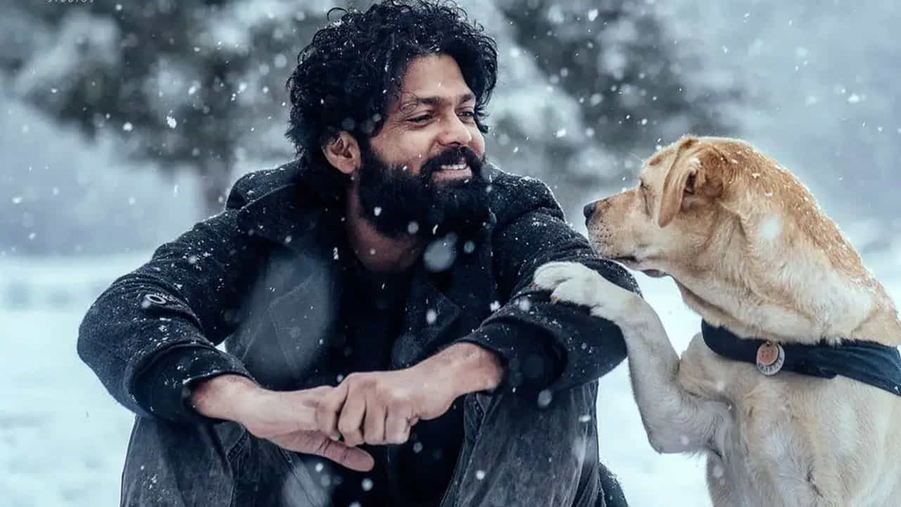 ఇక జూన్ లో వచ్చిన చార్లి 777 సూపర్ హిట్ అయ్యింది. ఇందులో రక్షిత్ శెట్టి ప్రధాన పాత్రలో నటించారు.