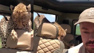 Viral Video: మరో మట్టిలో మాణిక్యం.. ల‌తాజీ పాట‌ను హృద్యంగా ఆల‌పిస్తున్న మహిళ.. మ్యూజిక్ లవర్స్ కు ఒక ట్రీట్