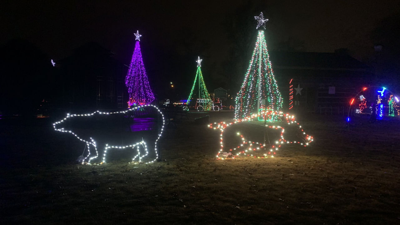 క్రిస్టమస్ రోజున ఈ ట్రీ ను ఎందుకు పెట్టుకుంటారో అనే అనుమానం సాధారణంగా వస్తుంది. పూర్వం క్రైస్తవులందరూ కానుకలను తీసుకొని చర్చి కి వెళ్ళడం ఒక ఆనవాయితీగా ఉండేది. ఒక ఊరిలో నివసిస్తున్న ప్లాబో అనే పేద పిల్లవాడికి కానుకగా తీసుకెళ్లడానికి చేతిలో చిల్లిగవ్వ లేకపోతే తన ఇంటి ముందు ఎంతో అందంగా పెరిగిన మొక్కను కుండీలో పెట్టుకుని చర్చికి తీసుకెళ్లాడు. దీంతో క్రిస్మస్ రోజున ట్రీని పెట్టుకోవడం ఆనవాయితీగా వస్తోంది.