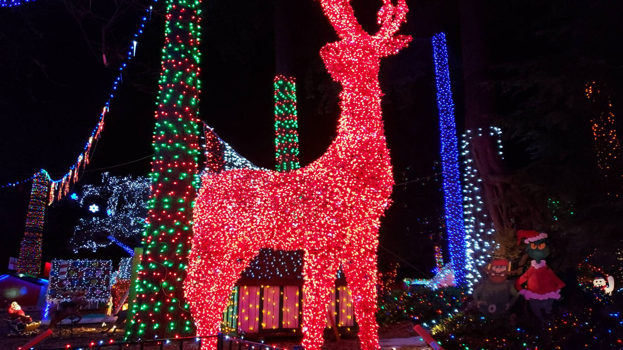 క్రిస్మస్కు ప్రారంభం ముందు నుంచే క్రైస్తవులు తమ ఇళ్లపై నక్షత్ర ఆకృతులను అలంకరించుకుంటారు. తూర్పు దేశాల వారికి దారి చూపిన దివ్య నక్షత్రాన్ని క్రీస్తు జయంతి సందర్భంగా ప్రత్యేక చిహ్నంగా భావిస్తారు. అందుకు క్రీస్తు రాకను కాంక్షిస్తూ క్రైస్తవ ప్రార్థనా మందిరాలు, ఇళ్లపై అలంకరించడం ఒక సంప్రదాయంగా నేటికీ కొనసాగుతుంది. దీంతో పెద్ద ఎత్తున విద్యుద్దీపాలతో గృహలను అలంకరిస్తారు.