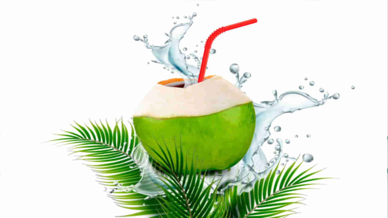 Coconut Water: చలికాలం కదా అని నీళ్లను తక్కువగా తాగుతున్నారా..? మరి డీహైడ్రేట్ అవకుండా ఏం చేయాలంటే..