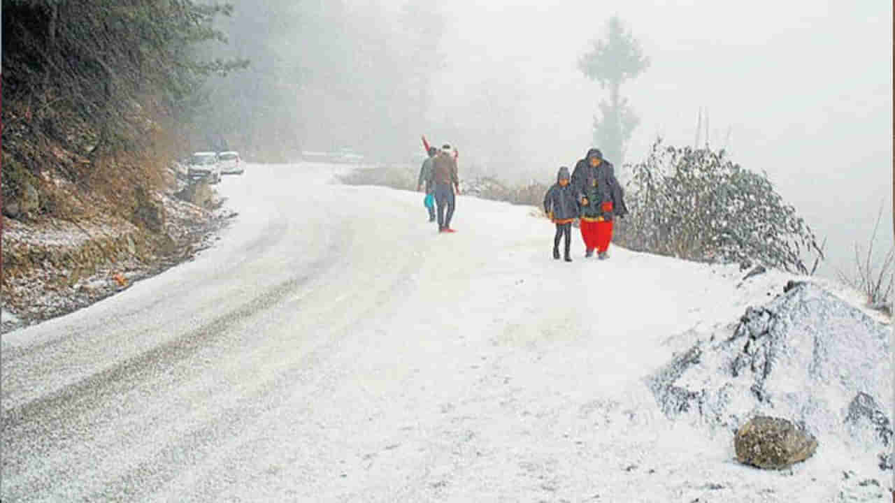 Cold Wave: చలి పులి.. వణుకుతున్న ఉత్తర భారతం.. మున్ముందు మరింత...